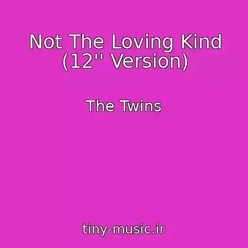 کاور آهنگ Not The Loving Kind (12'' Version) از The Twins