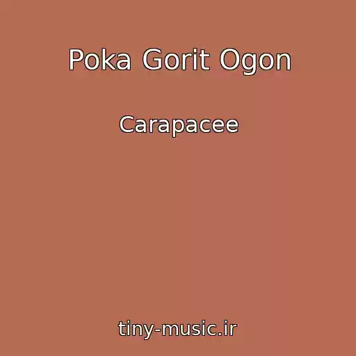 کاور آهنگ Poka Gorit Ogon از Carapacee