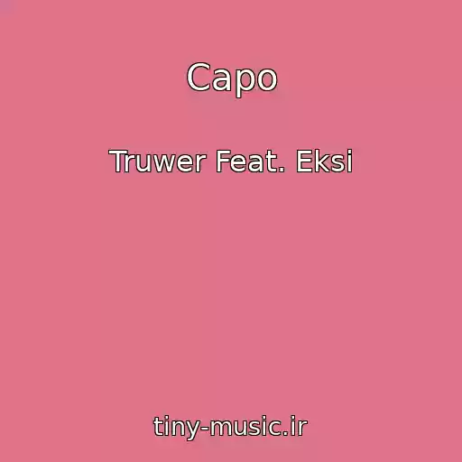کاور آهنگ Capo از Truwer Feat. Eksi