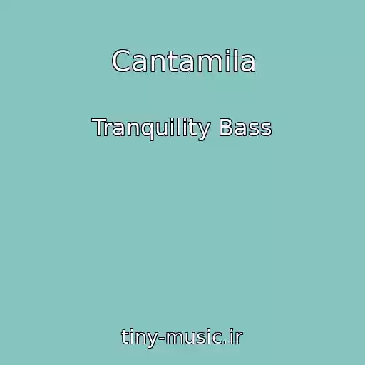 کاور آهنگ Cantamila از Tranquility Bass