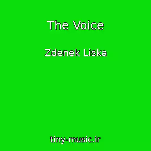 کاور آهنگ The Voice از Zdenek Liska