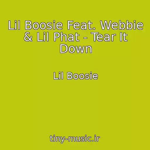 کاور آهنگ Lil Boosie Feat. Webbie & Lil Phat - Tear It Down از Lil Boosie