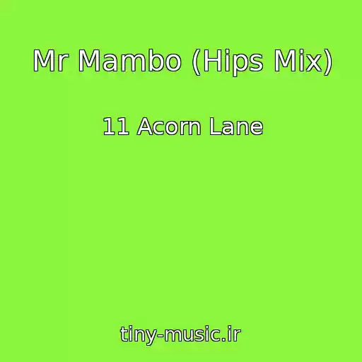 کاور آهنگ Mr Mambo (Hips Mix) از 11 Acorn Lane