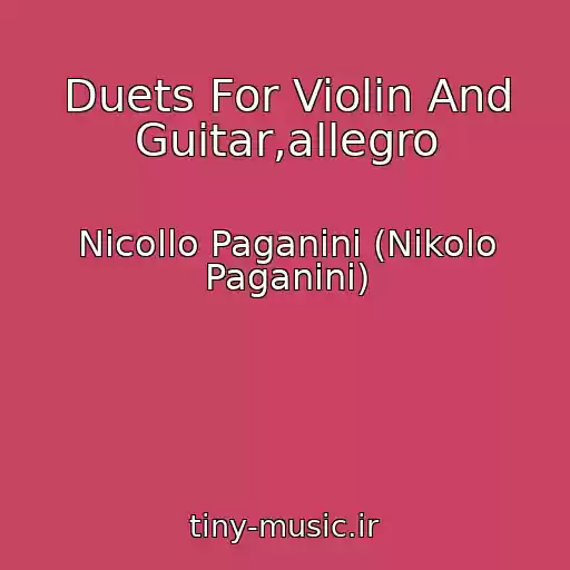 کاور آهنگ Duets For Violin And Guitar,allegro از Nicollo Paganini (Nikolo Paganini)