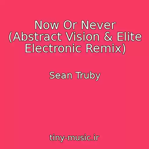 کاور آهنگ Now Or Never (Abstract Vision & Elite Electronic Remix) از Sean Truby