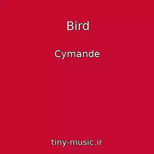 کاور آهنگ Bird از Cymande