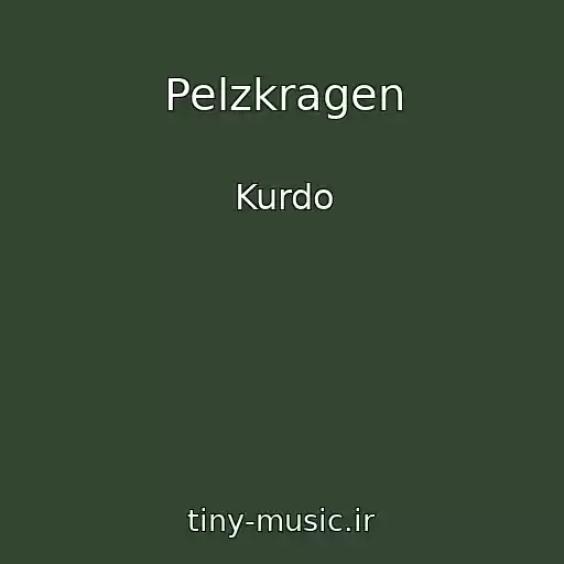 کاور آهنگ Pelzkragen از Kurdo