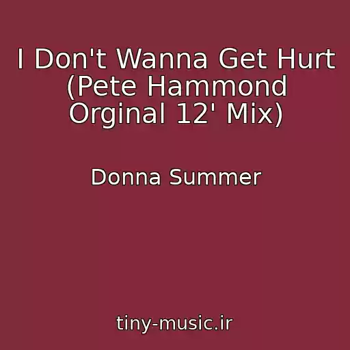 کاور آهنگ I Don't Wanna Get Hurt (Pete Hammond Orginal 12' Mix) از Donna Summer