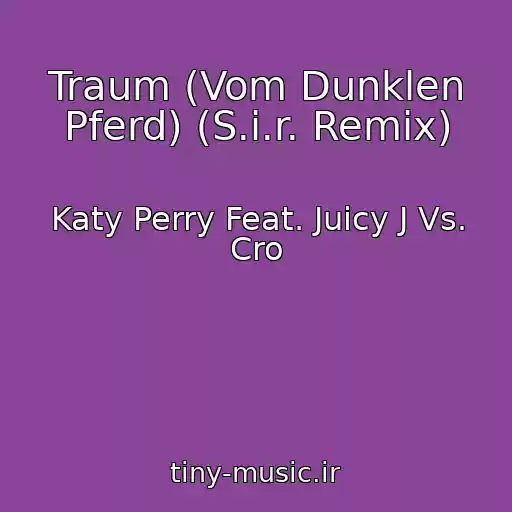 کاور آهنگ Traum (Vom Dunklen Pferd) (S.i.r. Remix) از Katy Perry Feat. Juicy J Vs. Cro