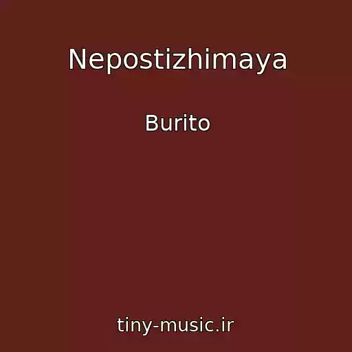 کاور آهنگ Nepostizhimaya از Burito