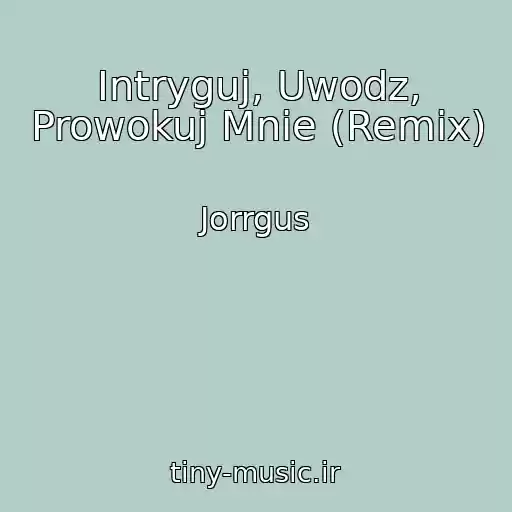 کاور آهنگ Intryguj, Uwodz, Prowokuj Mnie (Remix) از Jorrgus