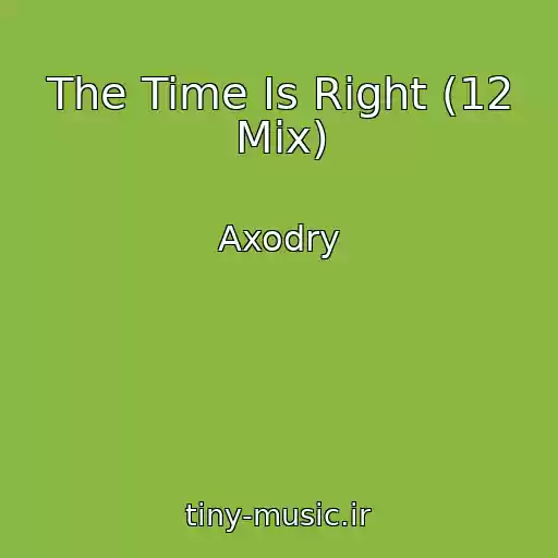 کاور آهنگ The Time Is Right (12 Mix) از Axodry