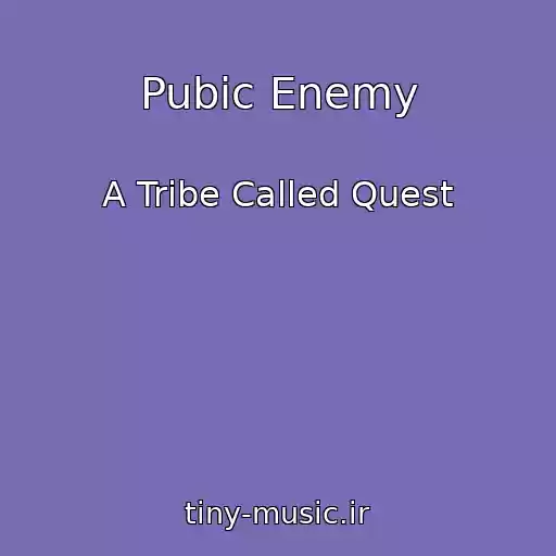 کاور آهنگ Pubic Enemy از A Tribe Called Quest