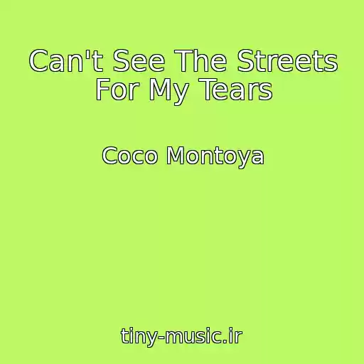 کاور آهنگ Can't See The Streets For My Tears از Coco Montoya