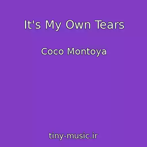 کاور آهنگ It's My Own Tears از Coco Montoya