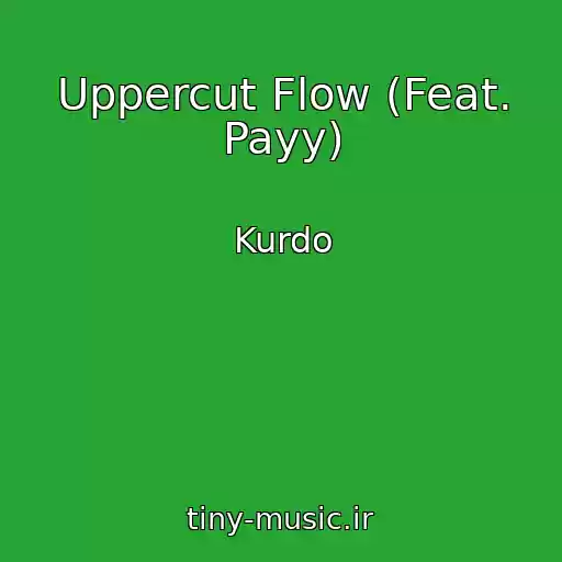 کاور آهنگ Uppercut Flow (Feat. Payy) از Kurdo