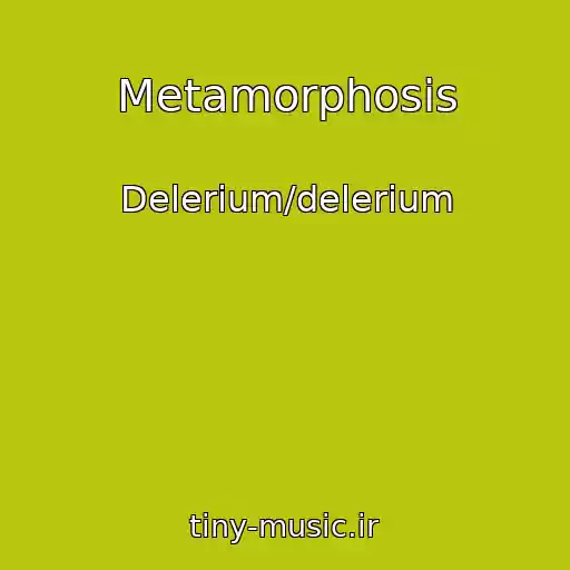 کاور آهنگ Metamorphosis از Delerium/delerium