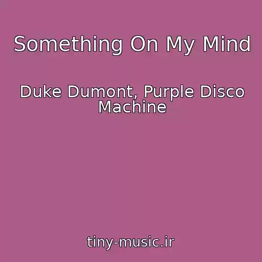 کاور آهنگ Something On My Mind از Duke Dumont, Purple Disco Machine