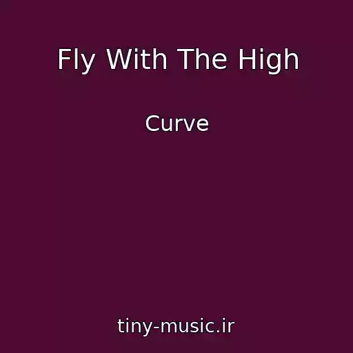 کاور آهنگ Fly With The High از Curve