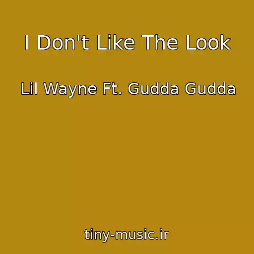 کاور آهنگ I Don't Like The Look از Lil Wayne Ft. Gudda Gudda