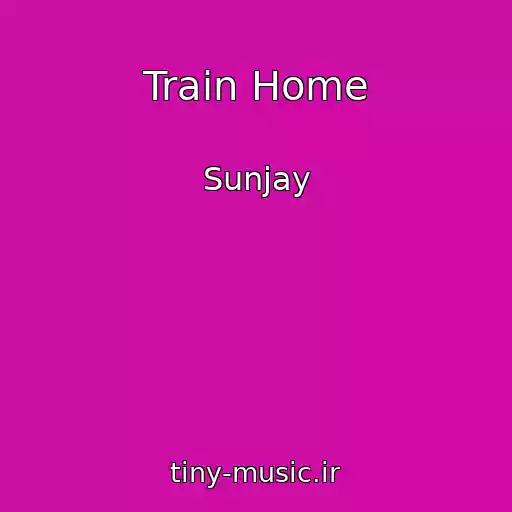 کاور آهنگ Train Home از Sunjay