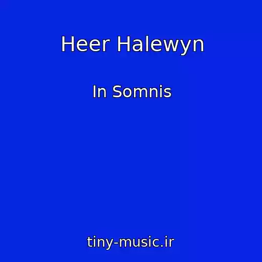 کاور آهنگ Heer Halewyn از In Somnis