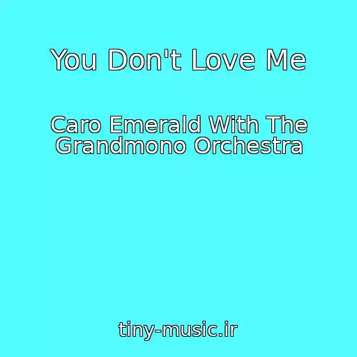 کاور آهنگ You Don't Love Me از Caro Emerald With The Grandmono Orchestra