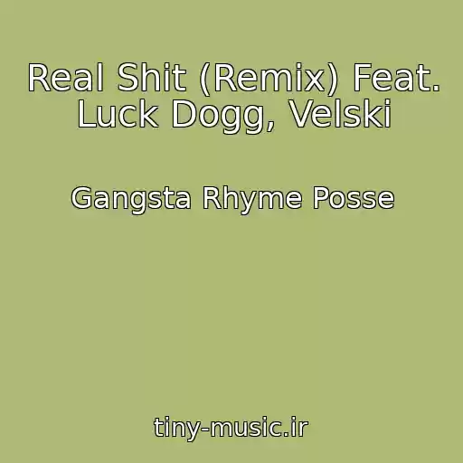 کاور آهنگ Real Shit (Remix) Feat. Luck Dogg, Velski از Gangsta Rhyme Posse