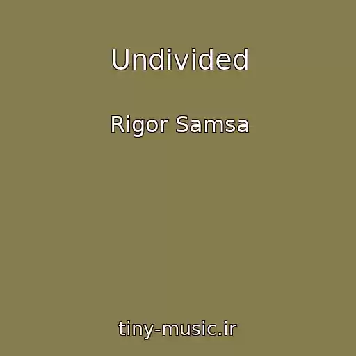 کاور آهنگ Undivided از Rigor Samsa