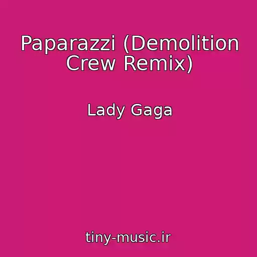 کاور آهنگ Paparazzi (Demolition Crew Remix) از Lady Gaga