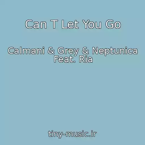 کاور آهنگ Can T Let You Go از Calmani & Grey & Neptunica Feat. Ria