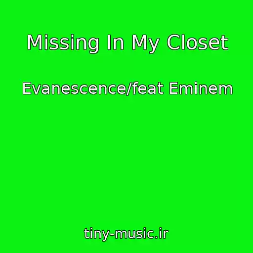 کاور آهنگ Missing In My Closet از Evanescence/feat Eminem
