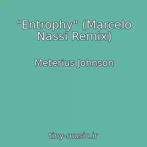 کاور آهنگ "Entrophy" (Marcelo Nassi Remix) از Meterius Johnson