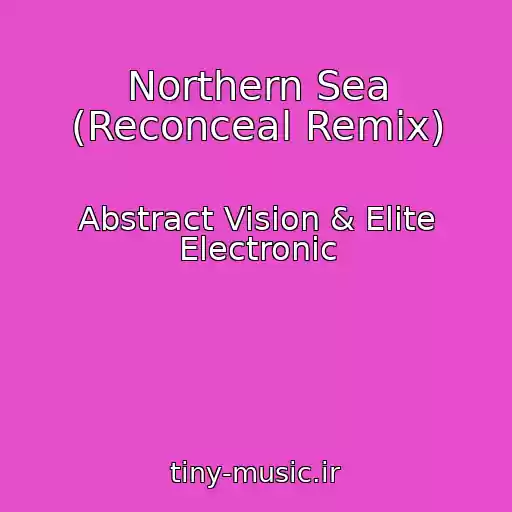 کاور آهنگ Northern Sea (Reconceal Remix) از Abstract Vision & Elite Electronic