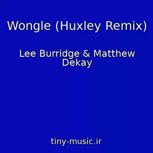 کاور آهنگ Wongle (Huxley Remix) از Lee Burridge & Matthew Dekay