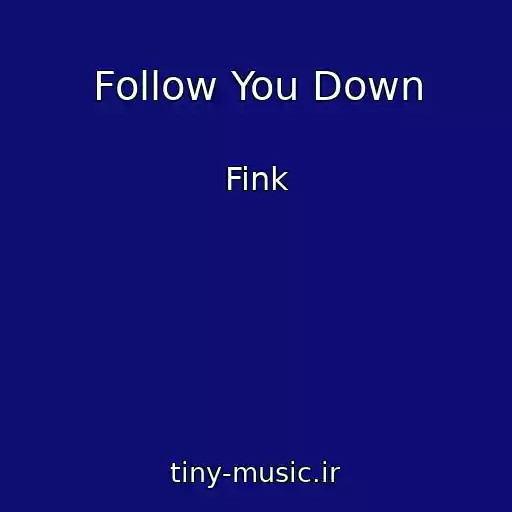 کاور آهنگ Follow You Down از Fink