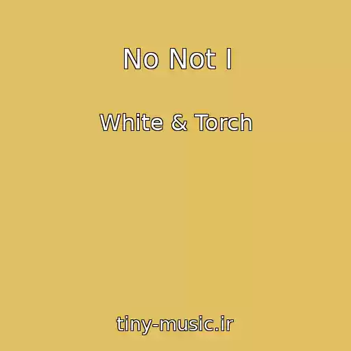 کاور آهنگ No Not I از White & Torch