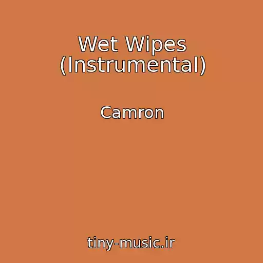 کاور آهنگ Wet Wipes (Instrumental) از Camron