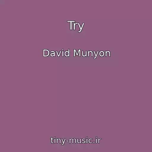 کاور آهنگ Try از David Munyon