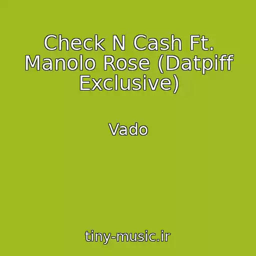 کاور آهنگ Check N Cash Ft. Manolo Rose (Datpiff Exclusive) از Vado