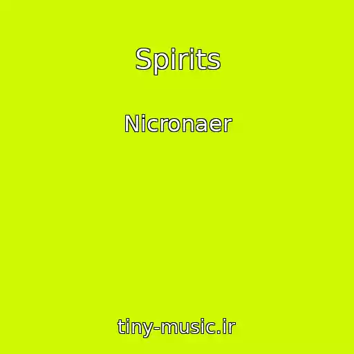 کاور آهنگ Spirits از Nicronaer