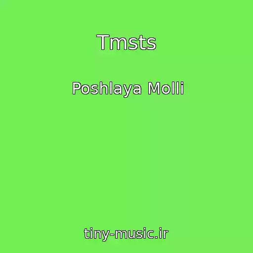 کاور آهنگ Tmsts از Poshlaya Molli