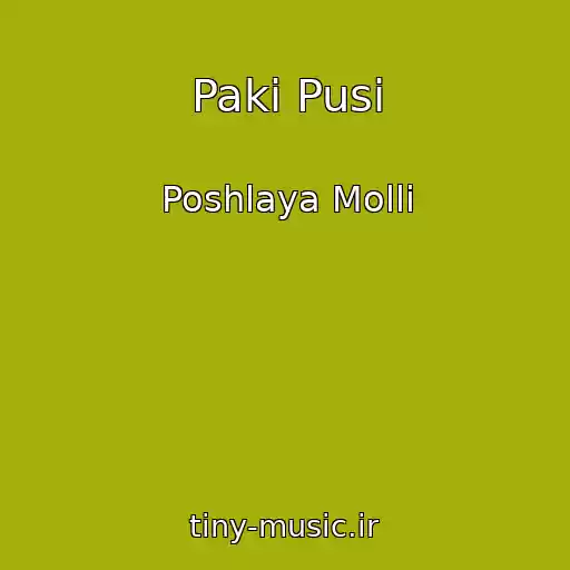 کاور آهنگ Paki Pusi از Poshlaya Molli