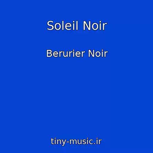 کاور آهنگ Soleil Noir از Berurier Noir