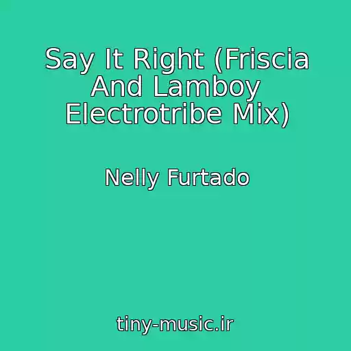 کاور آهنگ Say It Right (Friscia And Lamboy Electrotribe Mix) از Nelly Furtado