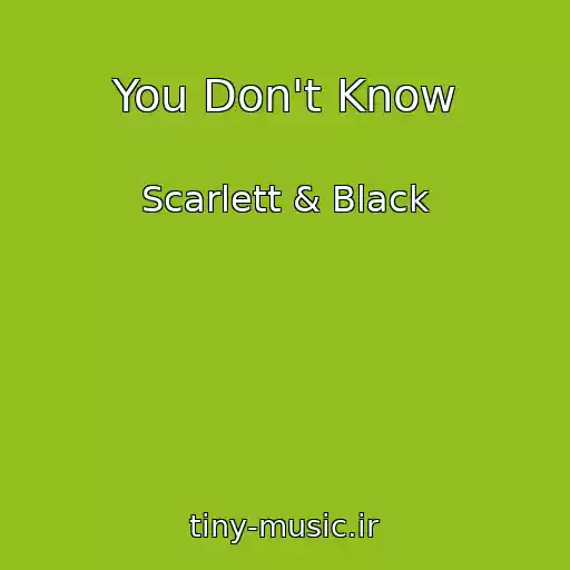 کاور آهنگ You Don't Know از Scarlett & Black
