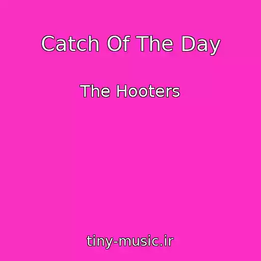 کاور آهنگ Catch Of The Day از The Hooters