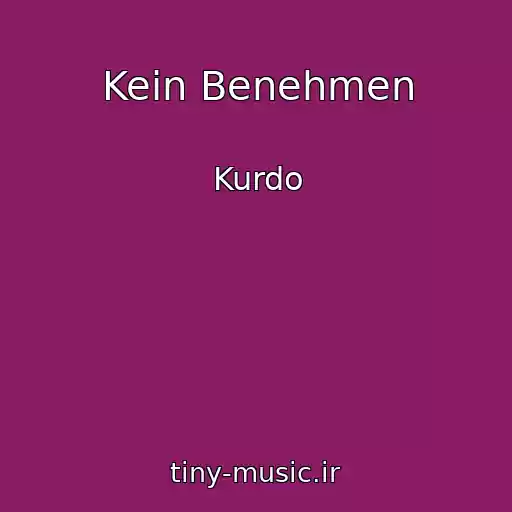 کاور آهنگ Kein Benehmen از Kurdo