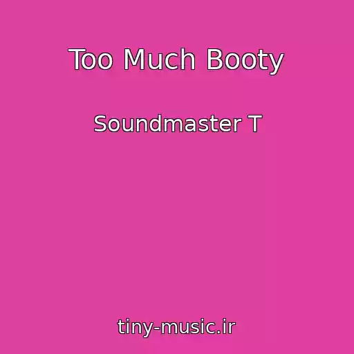 کاور آهنگ Too Much Booty از Soundmaster T