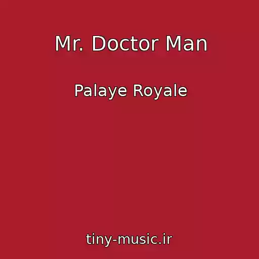 کاور آهنگ Mr. Doctor Man از Palaye Royale